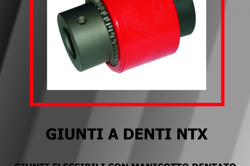 Catalogo Giunti NTX